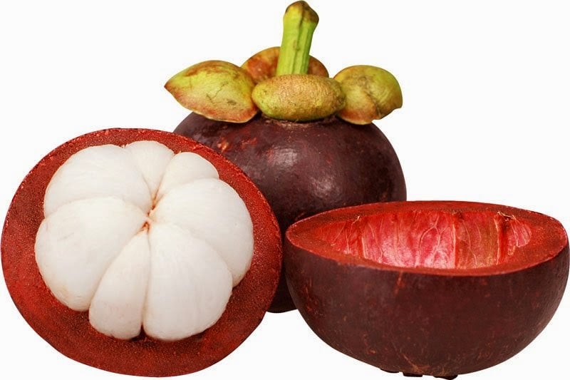 buah mangosteen